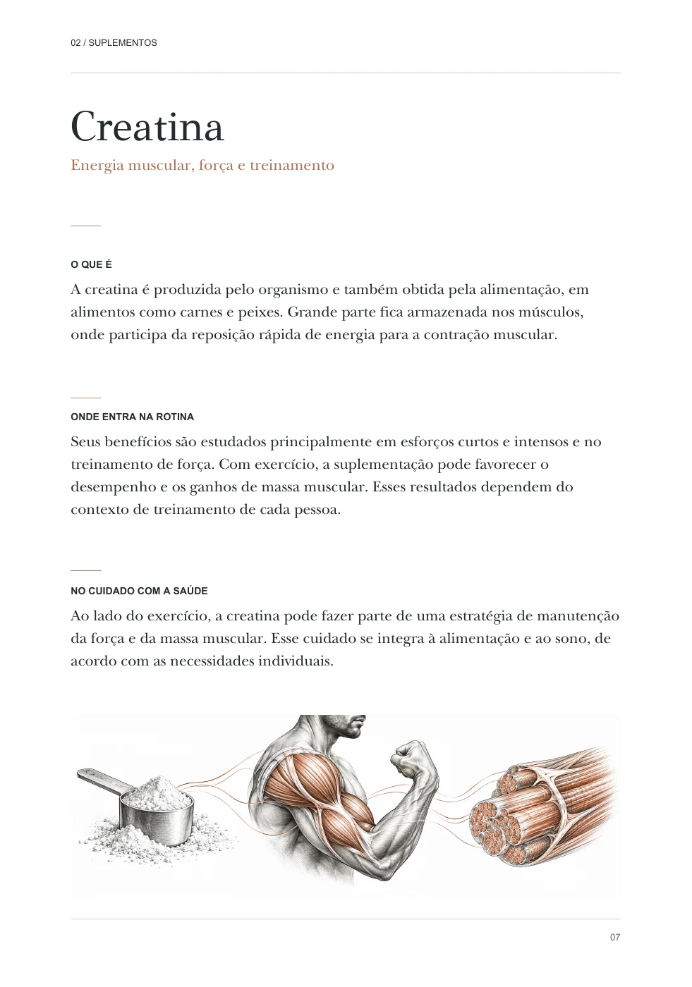 Página 7 do e-book: Creatina